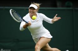 PG-莎拉波娃迎来十赛季高光表现，公牛球迷沸腾！的简单介绍